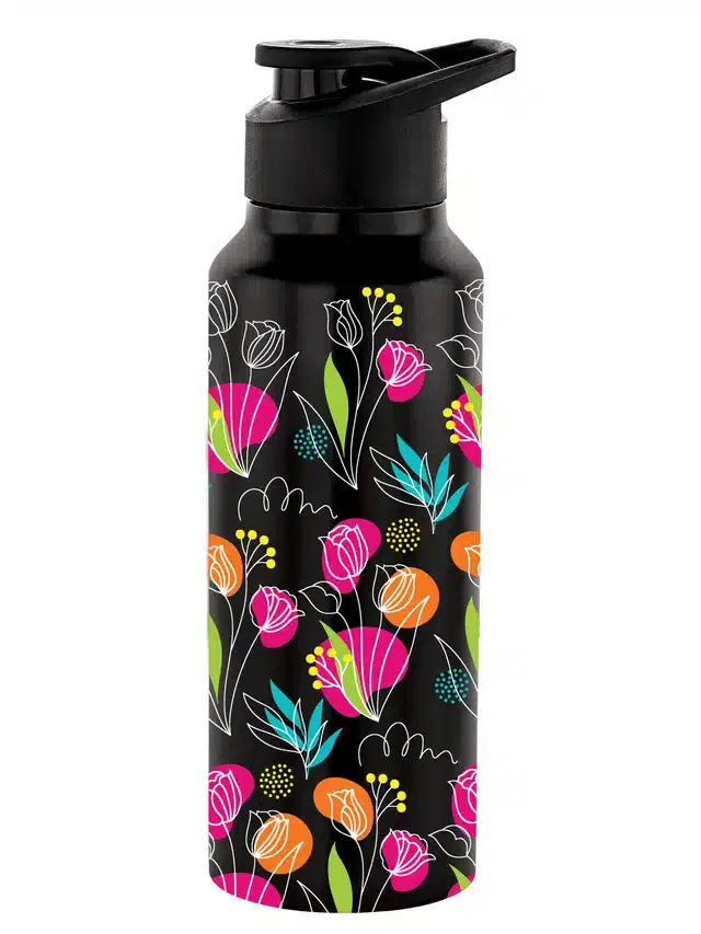 Stainless Steel Insulated Single Wall Water Bottle, Black, 750 ml