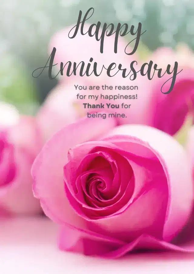 Anniversary Greeting Cards, Multicolor