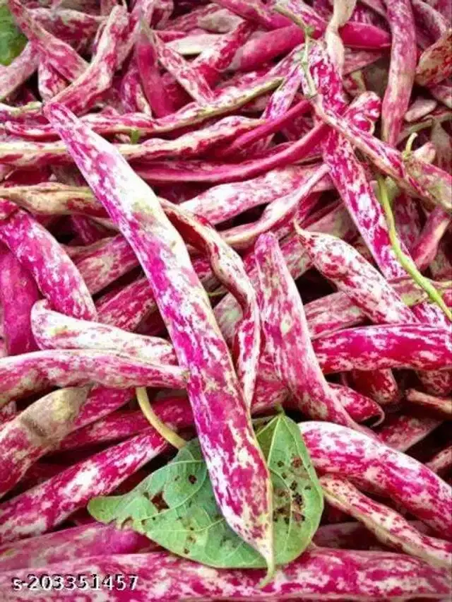 Cranberry Beans Vegetable Seeds, Pack of 15