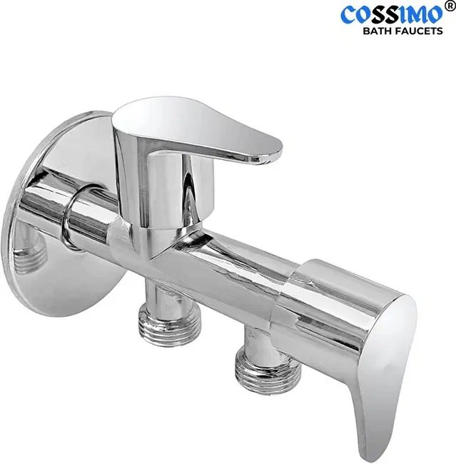 Stainless Steel 2-in-1 Bib Cock Taps Faucet with Wall Flange, Silver, Set of 1