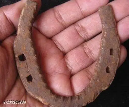 Iron Horse Shoe for Shani Shanti (Brown)