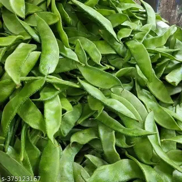 Papdi Seeds, Pack of 30