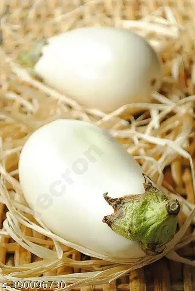 White Brinjal Seeds, Pack of 50