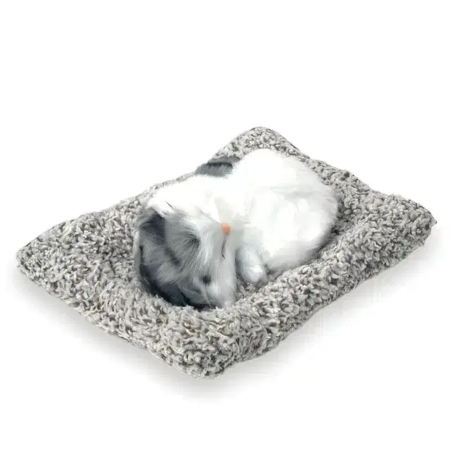Sleeping Cat for Car Dashboard & Home Decor, Multicolor