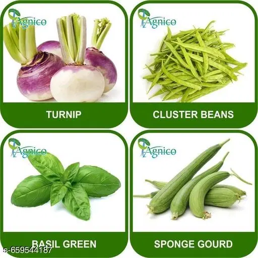 4 Vegetable Seeds Combo With Instruction Manual(Turnip/Cluster Beans/Sponge Gourd/Basil Green)
