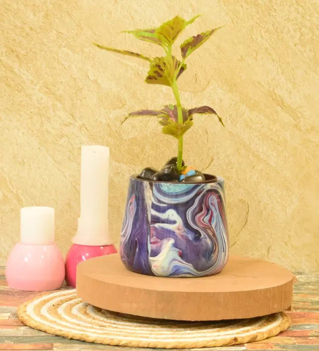 Metal Planter for Home, Multicolor