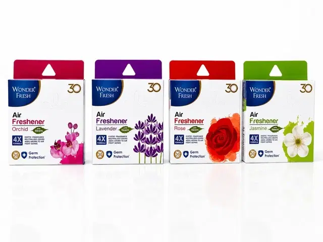 Wonder Fresh Air Freshener 50 g (Pack of 3)