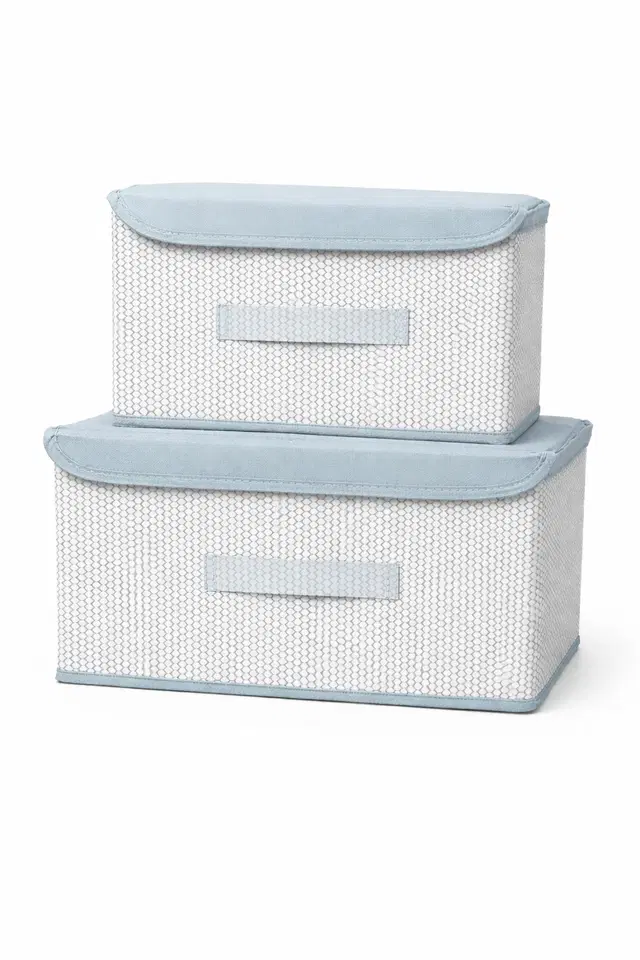 Craft Bazar Multipurpose Foldable Fabric Storage Box Set of 2 with Lid and Handles for Clothes, Toys, Wardrobe, Shelf and Home Organization