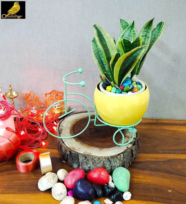 Metal Planter for Home, Green & Yellow, Pack of 2