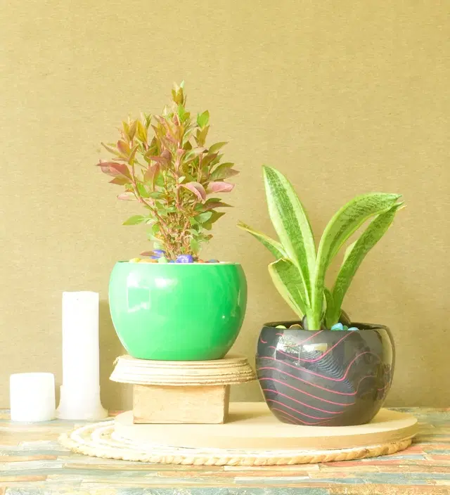 Metal Planter for Home, Multicolor, Pack of 2