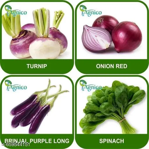 4 Vegetable Seeds Combo With Instruction Manual(Turnip/Onion Red/Brinjal Purple Long/Spinach)