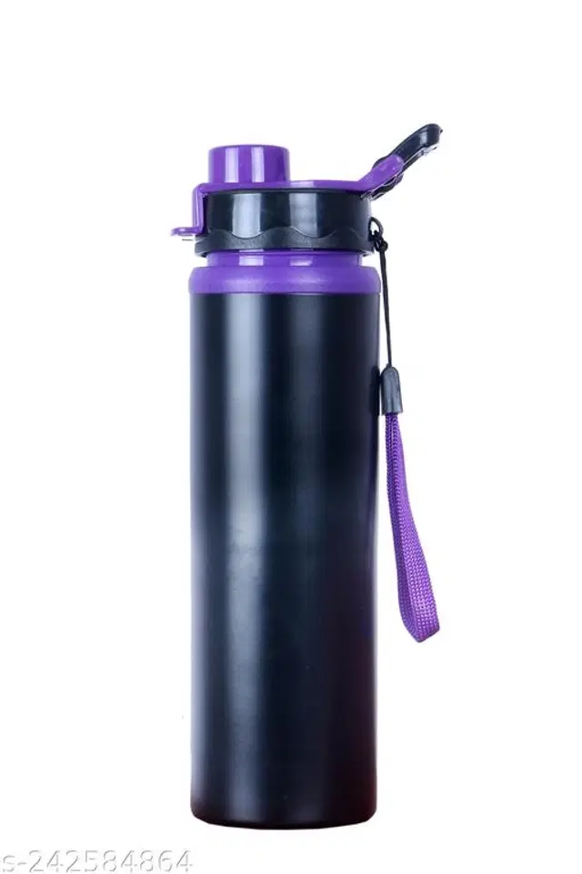 Stainless Steel Water Bottle, Multicolor, 750 ml