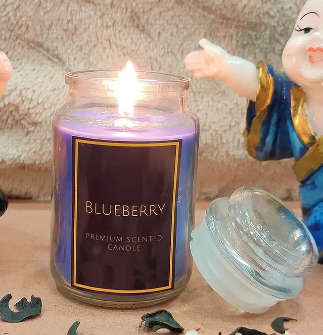 Floish Decor Premium Blueberry Scented Cookie Jar Candle