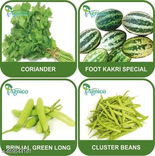 4 Vegetable Seeds Combo With Instruction Manual(Coriander/Foot Kakri Special/Brinjal Green Long/Cluster Beans)
