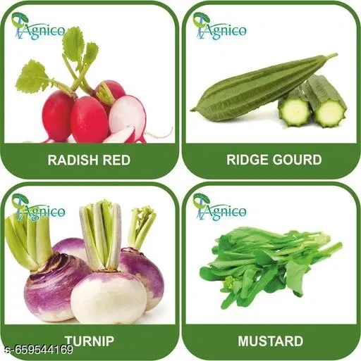 4 Vegetable Seeds Combo With Instruction Manual(Radish Red/Ridge Gourd/Turnip/Mustard)