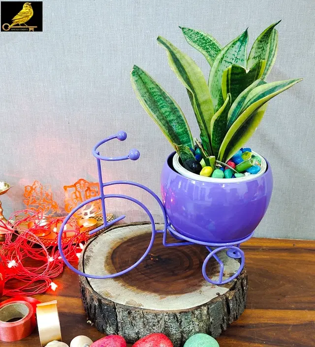 Metal Planter for Home, Purple, Pack of 2