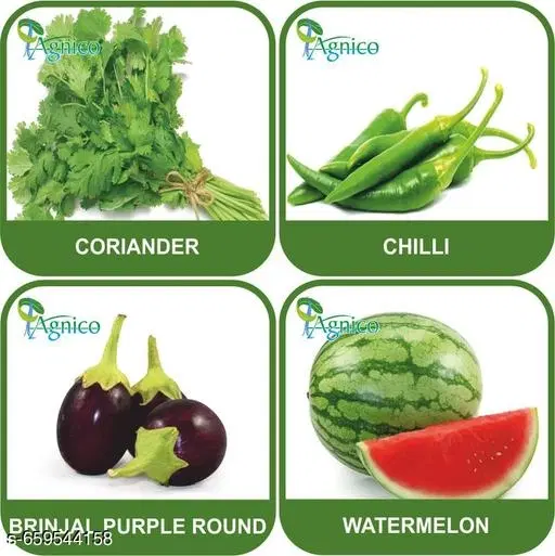 4 Vegetable Seeds Combo With Instruction Manual(Coriander/Chilli/Brinjal Purple Round/Watermelon)