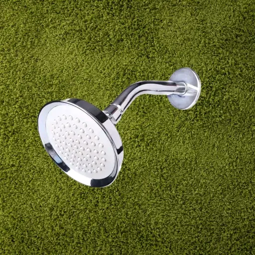 DALTON Sparrky Shower Head, Silver