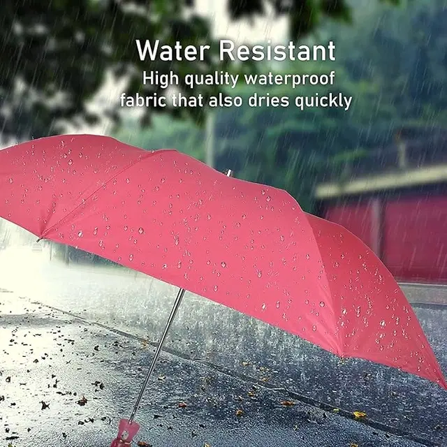 Portable Solid 2 Fold Umbrella, Multicolor