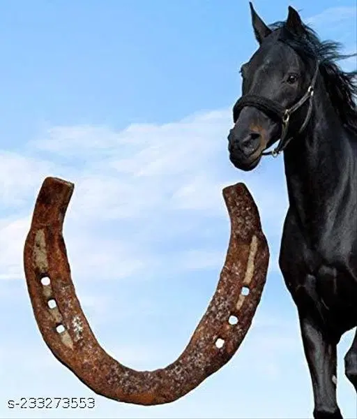 Iron Horse Shoe for Shani Shanti (Black)