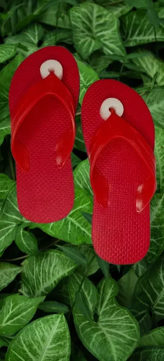 Flipflops for Men (Red, 4)
