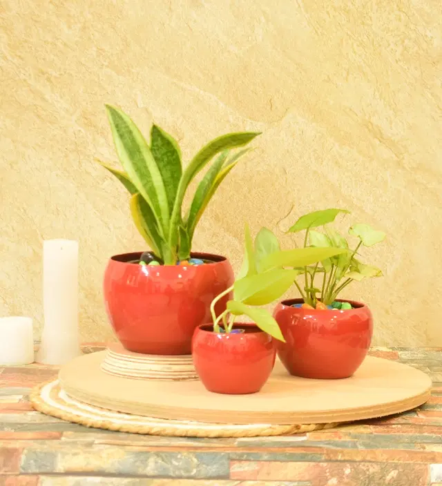 Metal Planter for Home, Red, Pack of 3