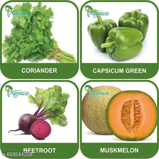 4 Vegetable Seeds Combo With Instruction Manual(Coriander/Capsicum Green/Beetroot/Muskmelon)