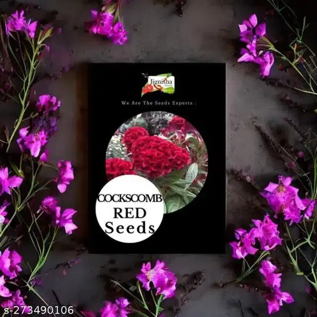 Cockscomb Red Hybrid Flower Seeds, Pack of 30