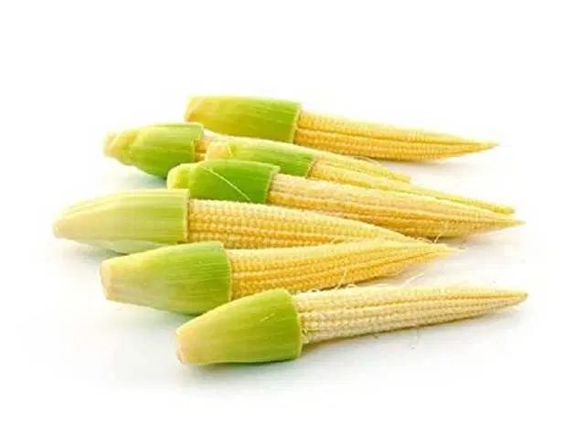 Hybrid Maize Baby Corn Seeds, Pack Of 30