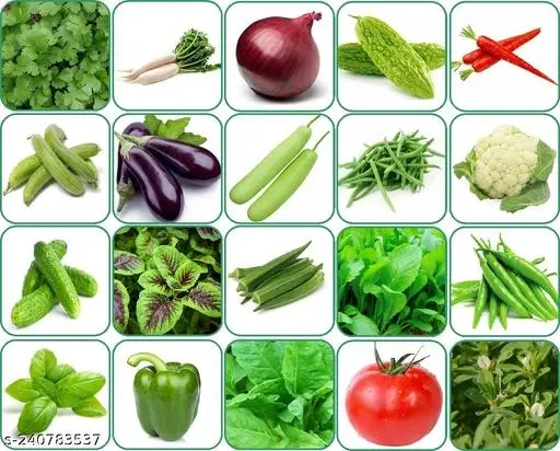Aero Seeds 20 variety vegetable seeds combo pack with instruction manual.