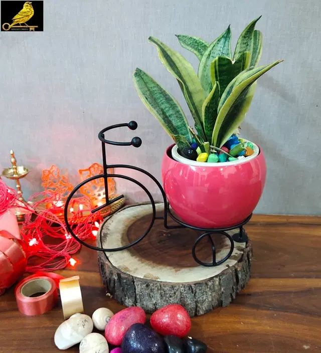 Metal Planter for Home, Black & Maroon, Pack of 2