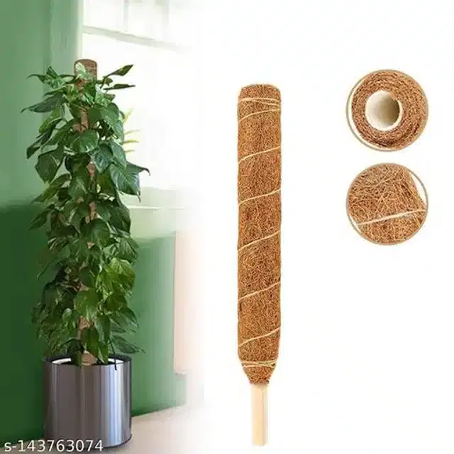 Wooden Moss Stick, Brown, 2 feet, Pack of 8