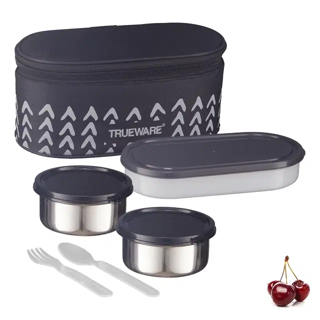 Trueware Elite Stainless Steel 3 Containers Lunch Box, 2x300 ml, 1x500 ml with, 2 Pcs Spoons & Bag, Grey, Set of 1