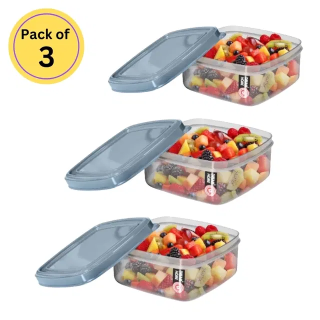 DREAM HOME Fresh Square Small Container, Pack of 3