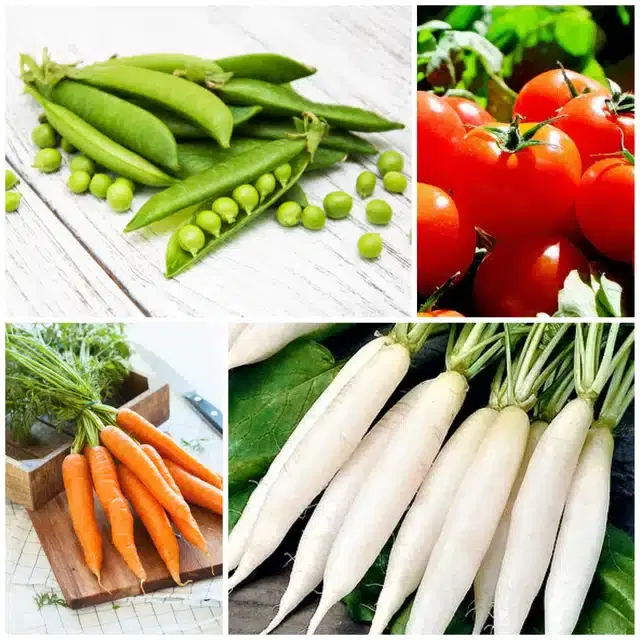 4 Variety of Vegetable Seeds, Combo of 4
