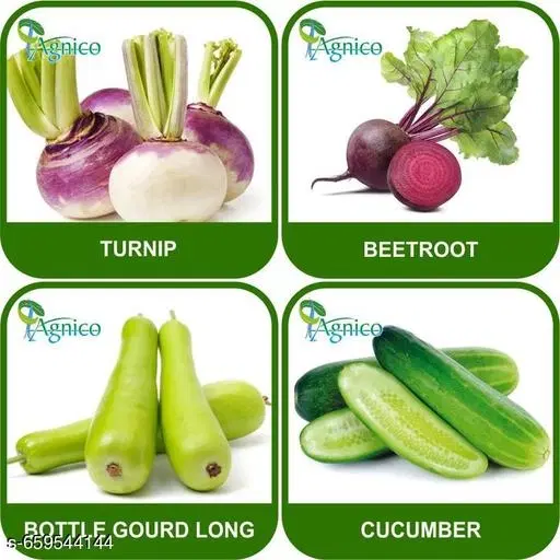 4 Vegetable Seeds Combo With Instruction Manual(Turnip/Bottle Gourd Long/Cucumber/Beetroot)