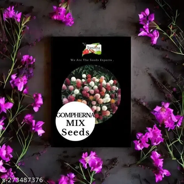 Gomphrena Mix Hybrid Flower Seeds, Pack of 30
