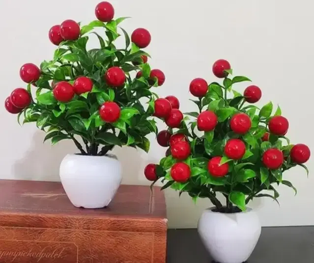 Green Gallery Pack of 2 Cherry Plant 13Wx17L cm