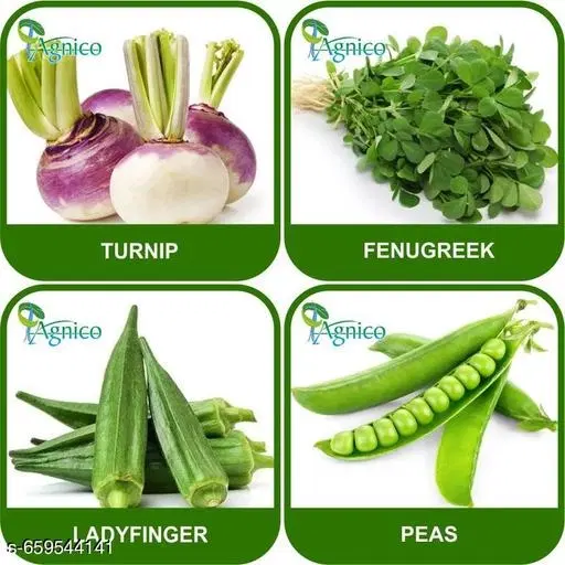 4 Vegetable Seeds Combo With Instruction Manual(Turnip/Fenugreek/Peas/Lady Finger)