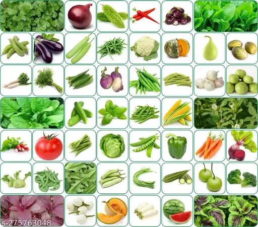 Aero Seeds Combo of 50 variety vegetable seeds with instruction manual.