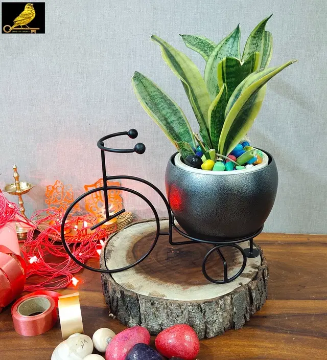 Metal Planter for Home, Black & Silver, Pack of 2