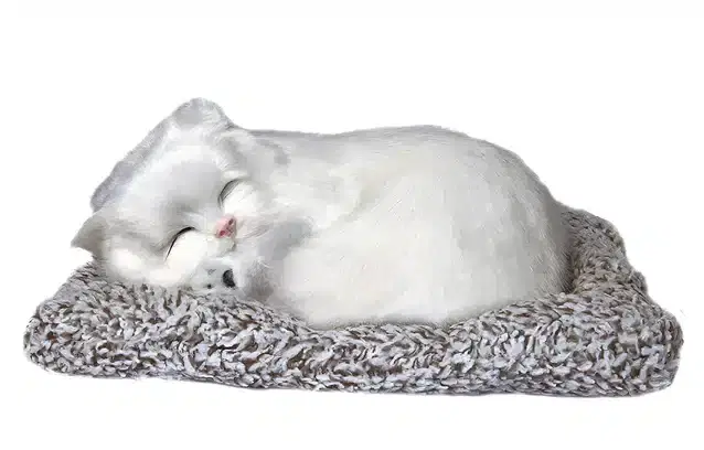 Sleeping Cat for Car Dashboard & Home Decor, Multicolor