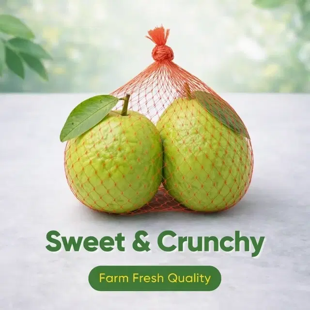 Fresh Guava 0.5 kg | 2 Pcs