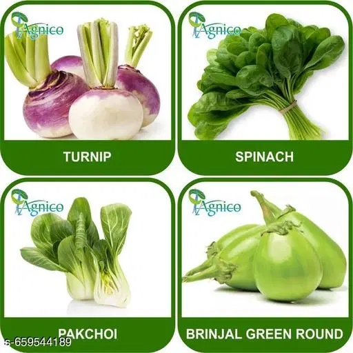 4 Vegetable Seeds Combo With Instruction Manual(Turnip/Spinach/Pakchoi/Brinjal Green Round)
