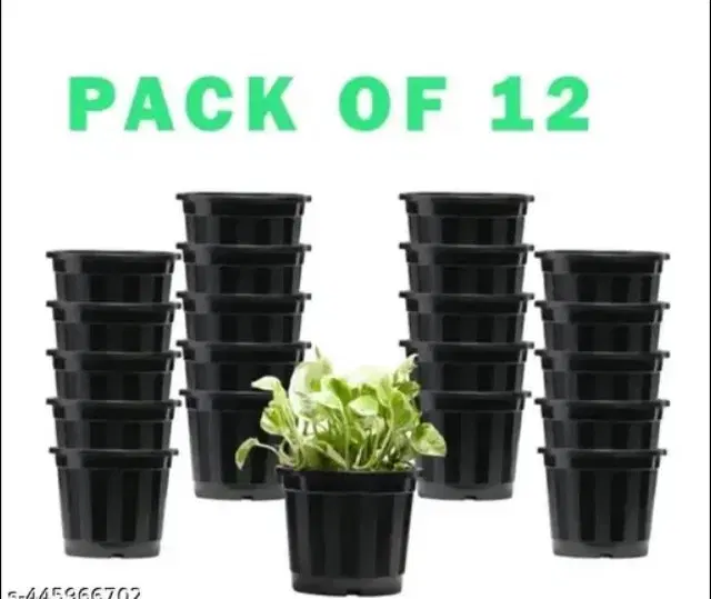 Plastic Plant Container, Black, Pack of 12