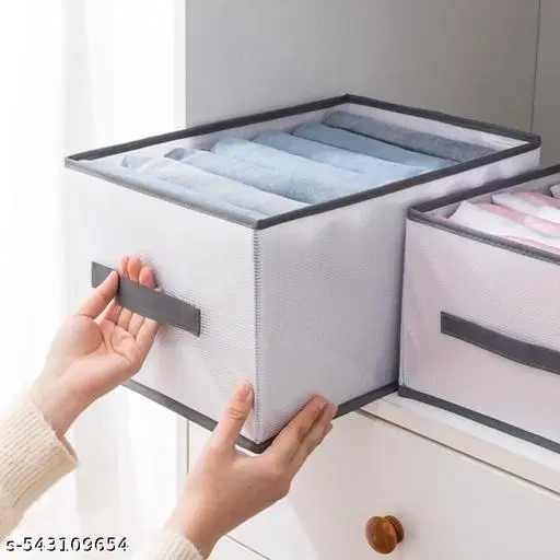 Non-woven Clothes Cover,  (Multi),  (Pack Of 2)