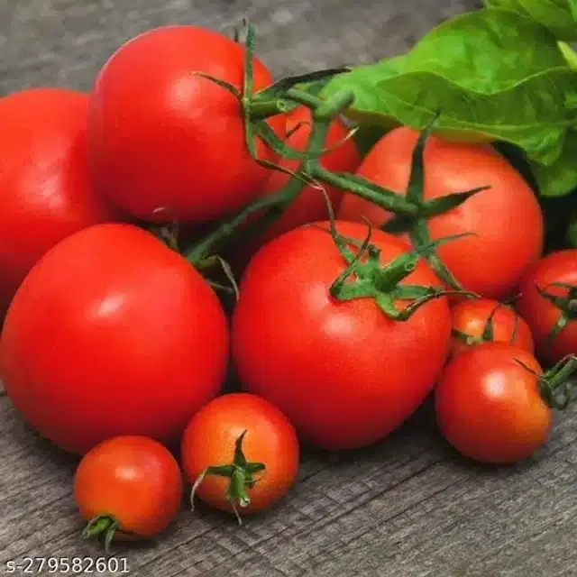 Tomato Pusa Ruby Super Vegetable Seeds, Pack of 100