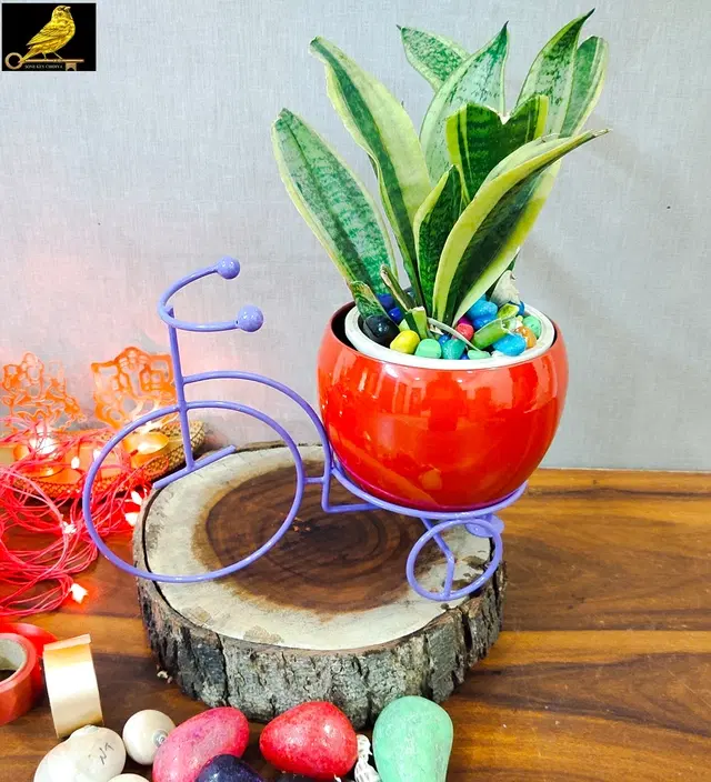 Metal Planter for Home, Purple & Red, Pack of 2