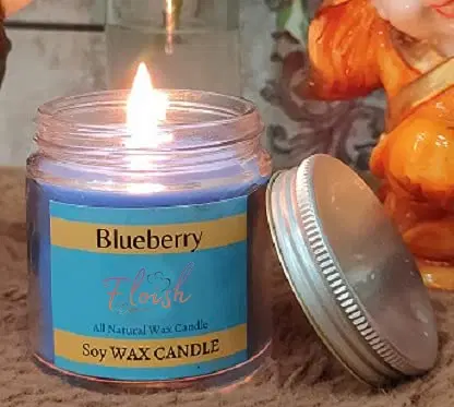 Floish Decor Premium Blueberry Scented Aluminium Lid Jar Candle