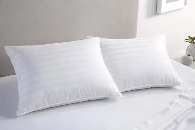 Continental Filled Stripe Pillow 16X26Inch Pack Of 2